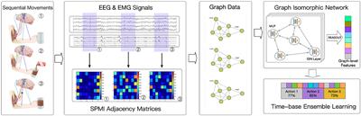 A sequential learning model with GNN for EEG-EMG-based stroke rehabilitation BCI